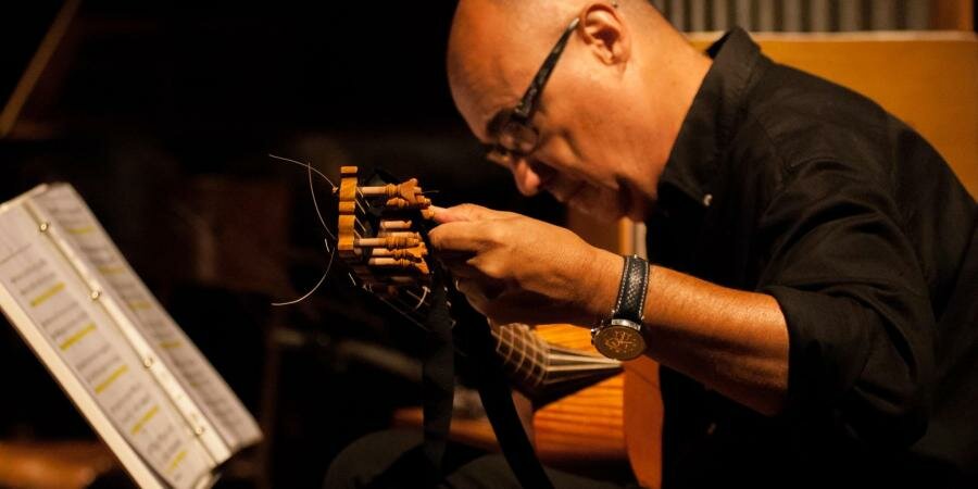 Silvio Rosi, chitarra